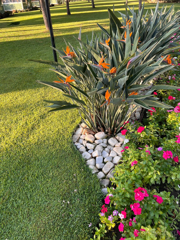 Чудесный отель