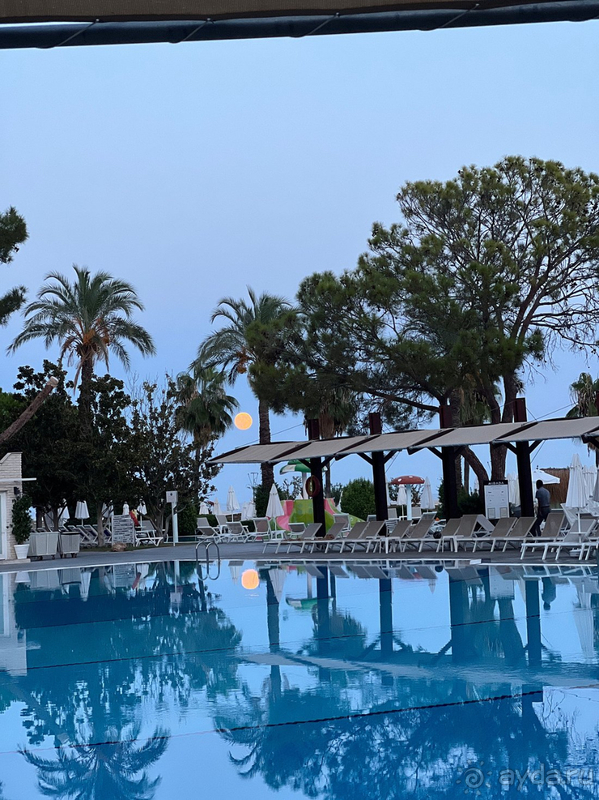 Чудесный отель