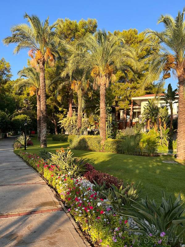 Чудесный отель