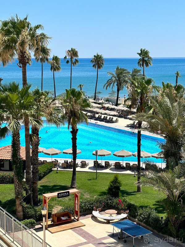 Прекрасный отель Адора !!!