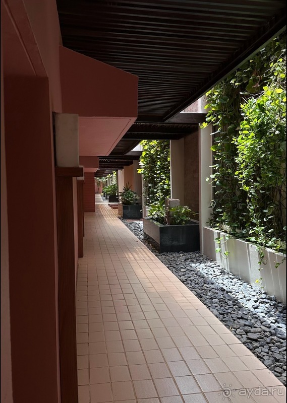 Всё было прекрасно, но мало