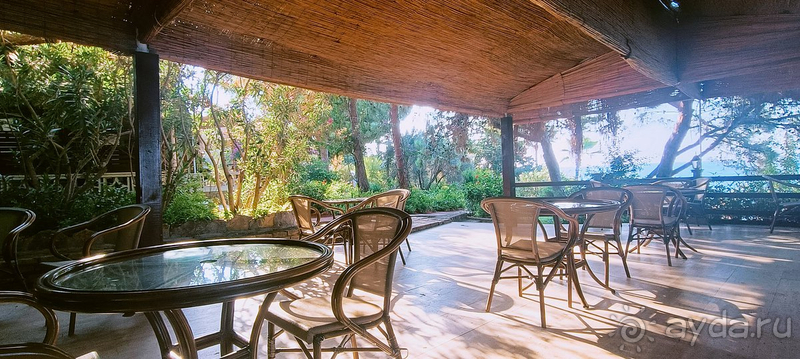 Чудесный отдых на Средиземном море