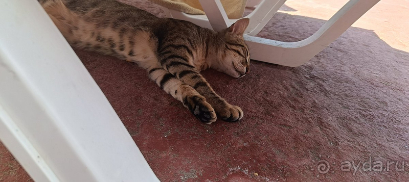 Чудесный отдых на Средиземном море