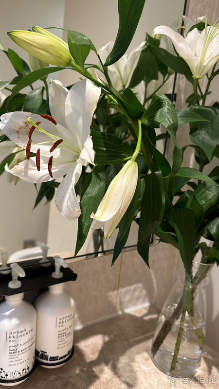 Дешево в Дубаи