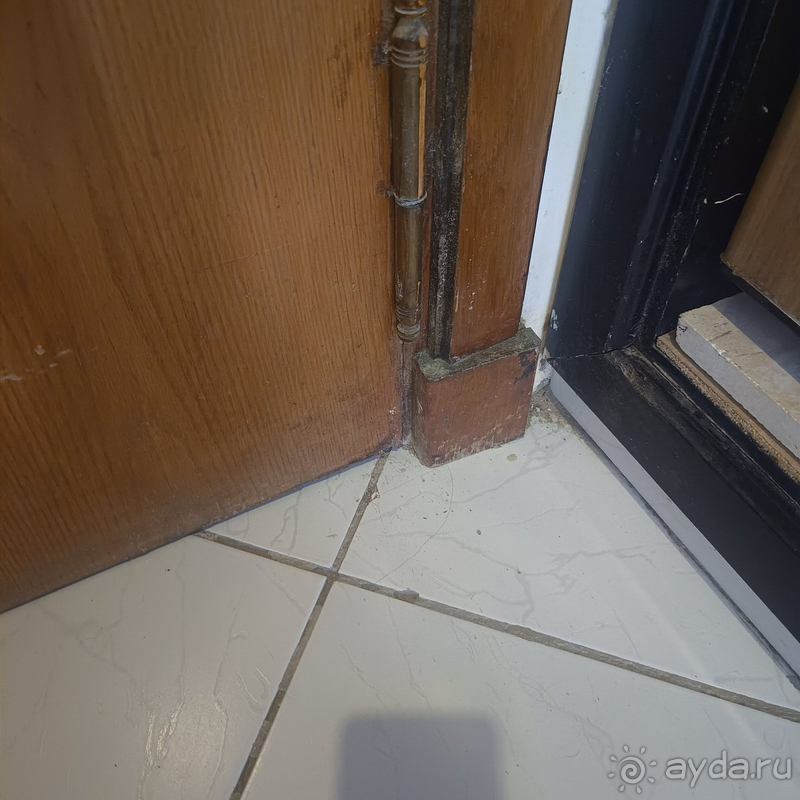 Понравилось только море и пляж. На этом плюсы кончились.