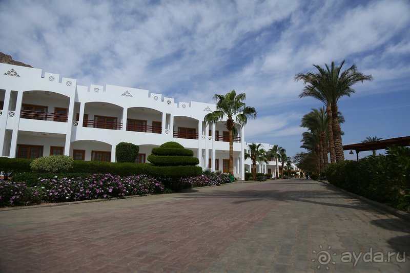 фото Дахаба