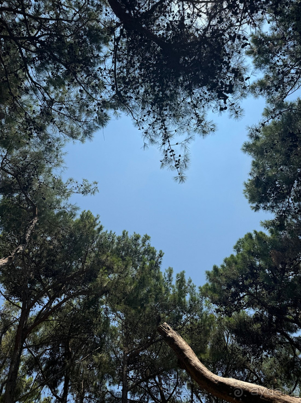 Семейный отдых в Xanadu