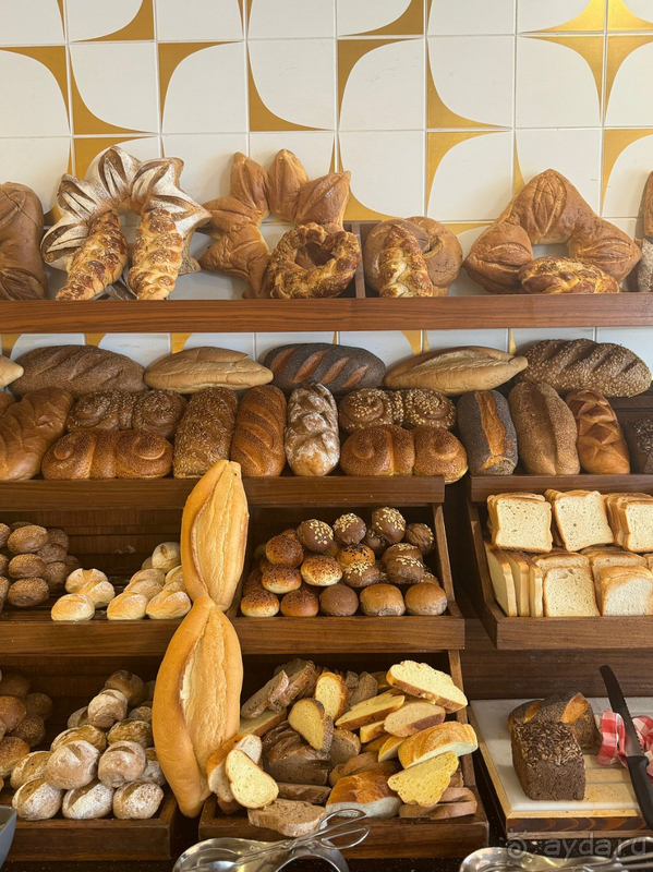 Семейный отдых в Xanadu