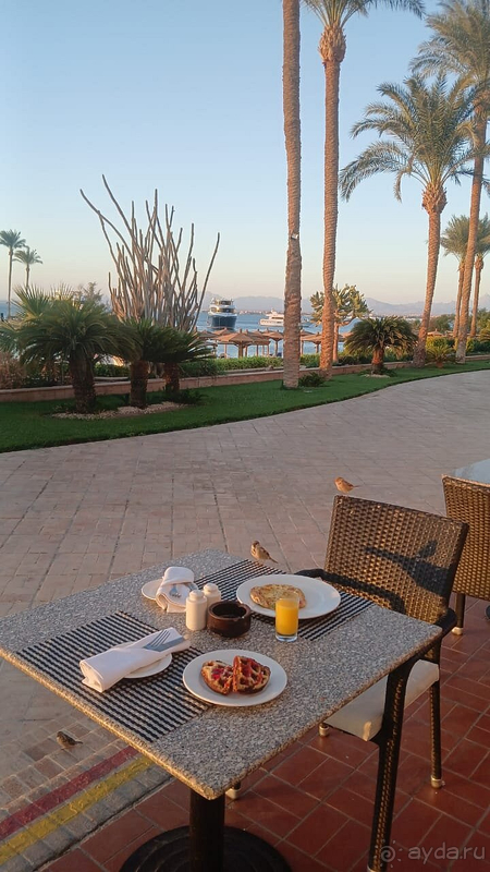 Марриот, хотим к вам опять.