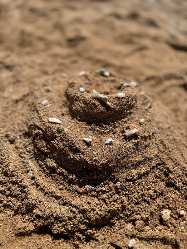 Четверка на четыре балла