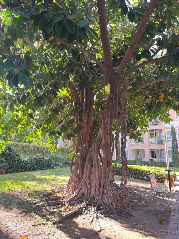 Хороший отель, есть нюансы.