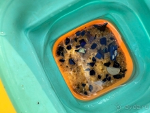 Отличное расположение, но точно не 5 звезд