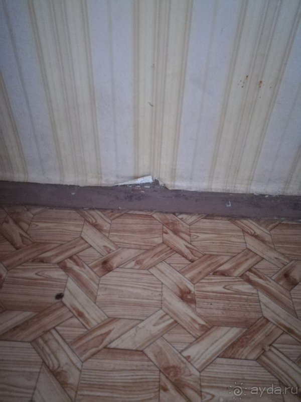 Дешёвая, спокойная гостиница, без клопов и приключений.