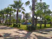 Отдых только с семьёй.Sultan of Dreams