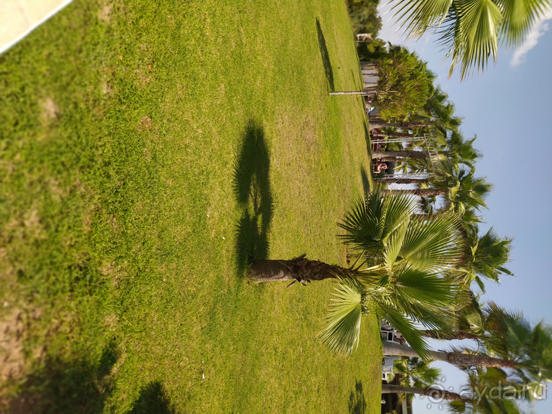 Отдых только с семьёй.Sultan of Dreams