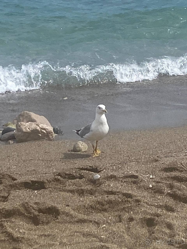 Отличное продолжение лета
