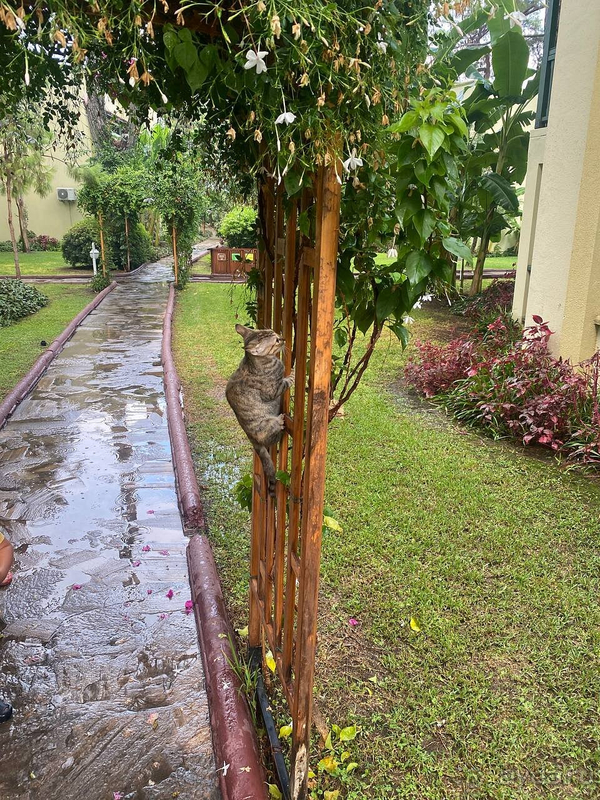 Отличное продолжение лета