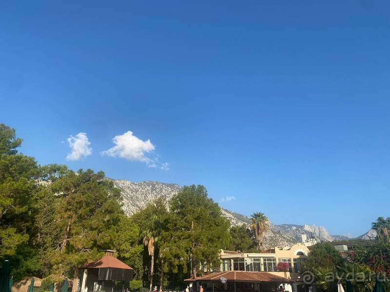 Отличное продолжение лета Отличное продолжение лета