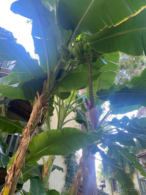 Отличное продолжение лета