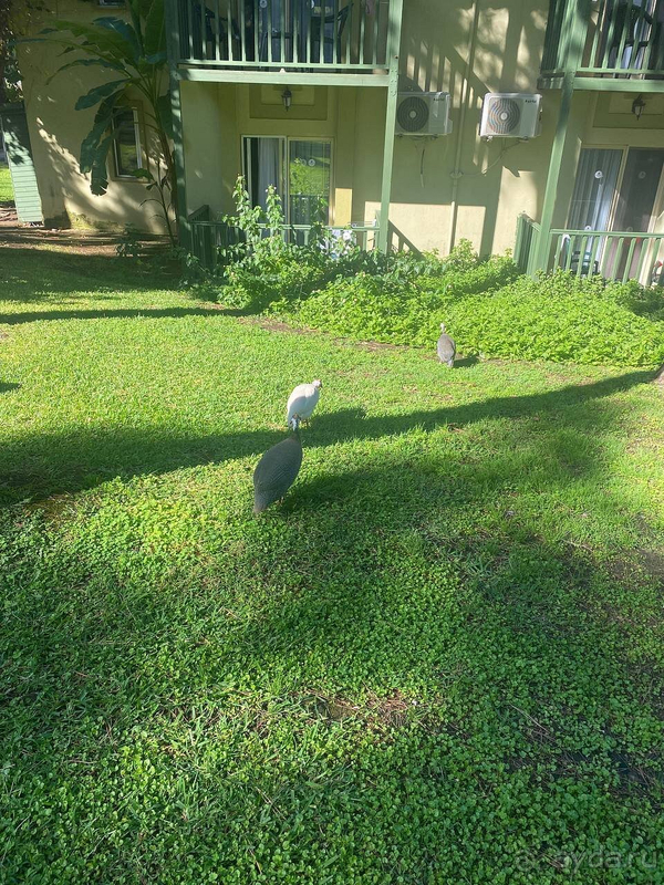 Отличное продолжение лета Отличное продолжение лета