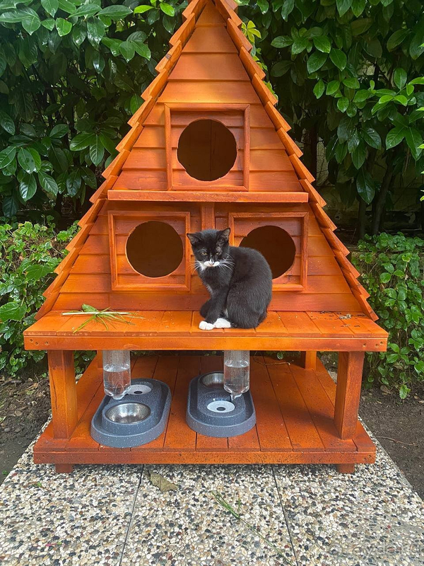 Отличное продолжение лета Отличное продолжение лета