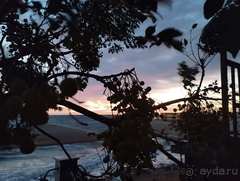 ВСЕ ТАКЖЕ ПРЕКРАСНА...