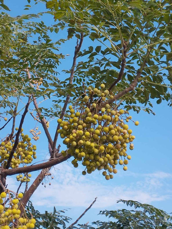 ВСЕ ТАКЖЕ ПРЕКРАСНА...