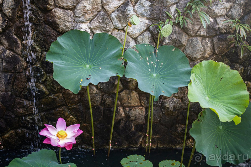 Лучший отпуск 2024