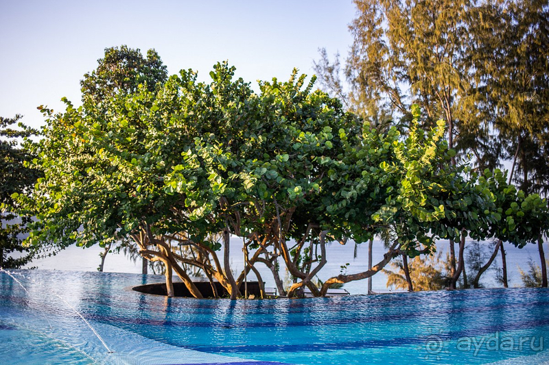 Лучший отпуск 2024