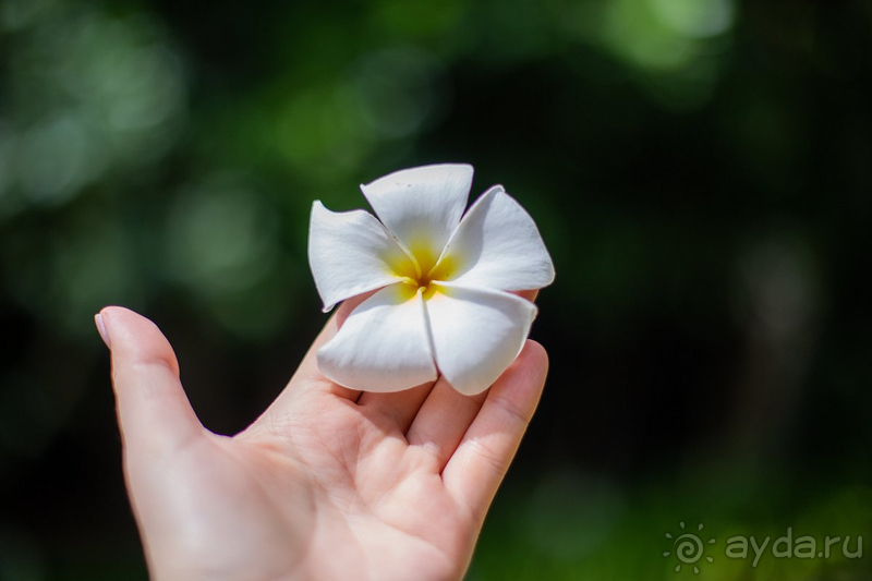 Лучший отпуск 2024