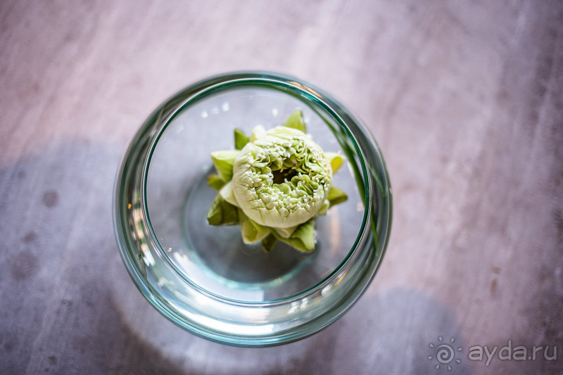 Лучший отпуск 2024