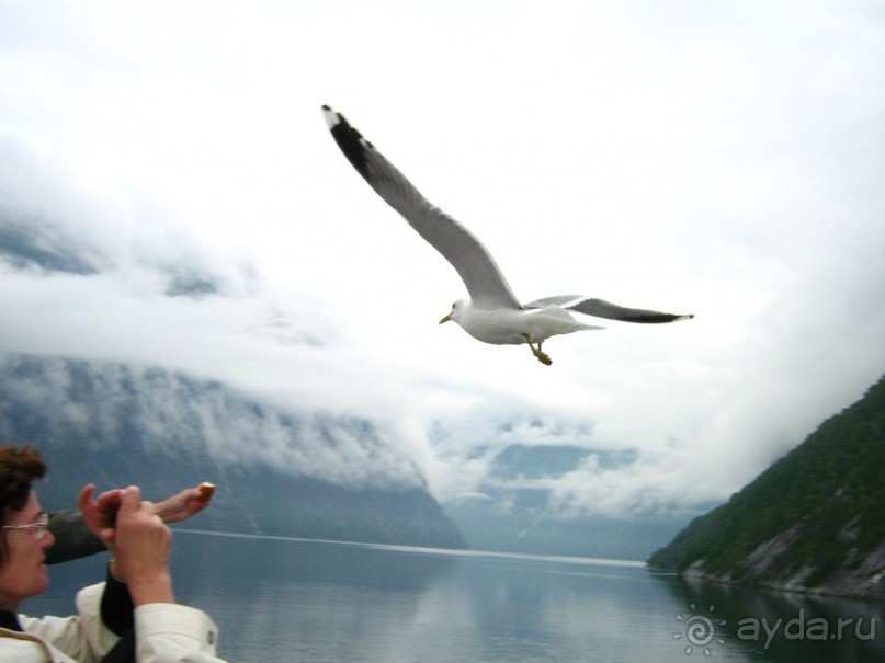 Скандинавия 2007