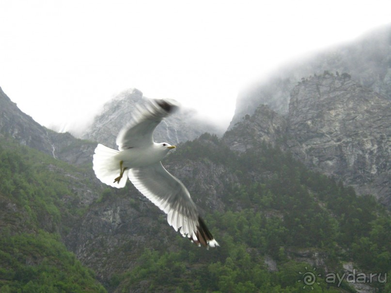 Скандинавия 2007