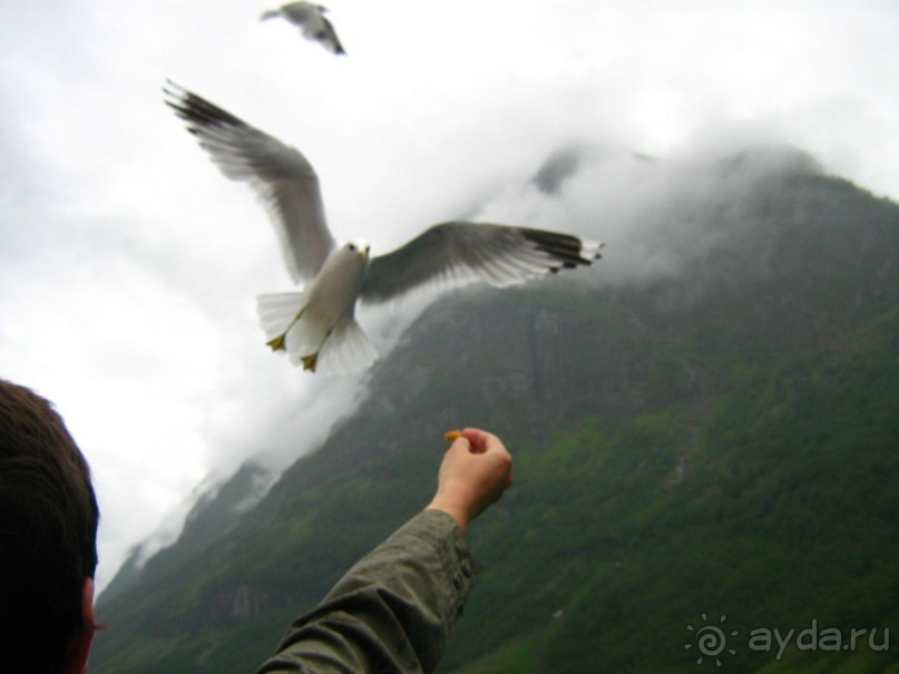 Скандинавия 2007