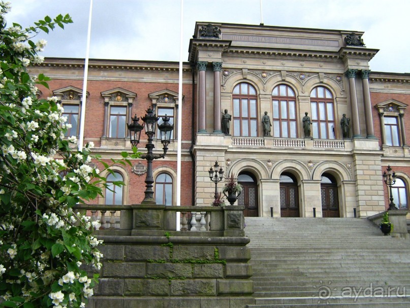 Альбом отзыва "Большое путешествие по Норвегии с тур-транс вояжем 2007"