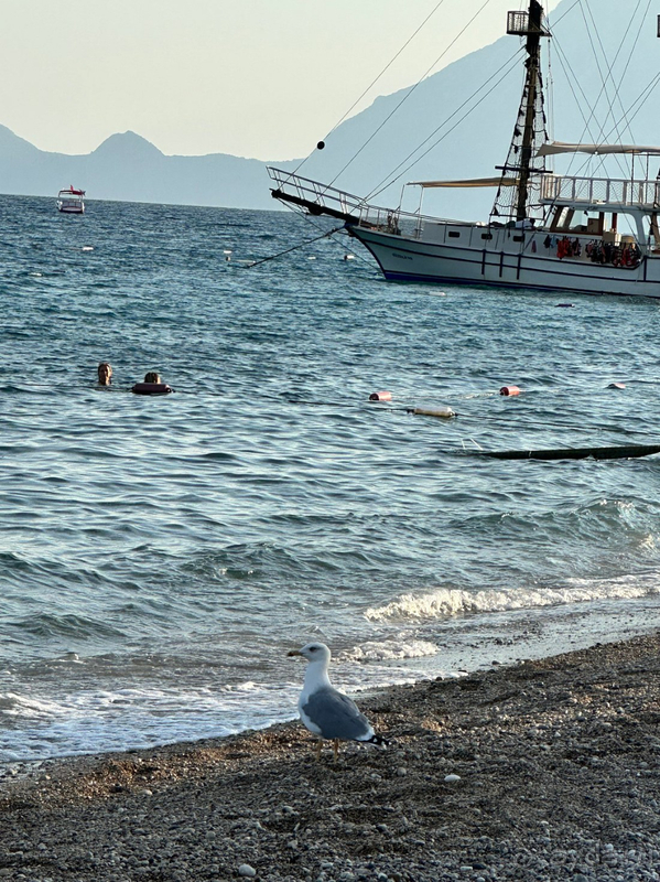 Цена завышена, отель на слабую 4