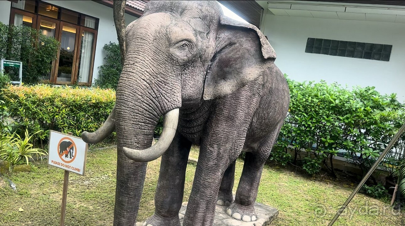 Отличный отдых и самые позитивные впечатления