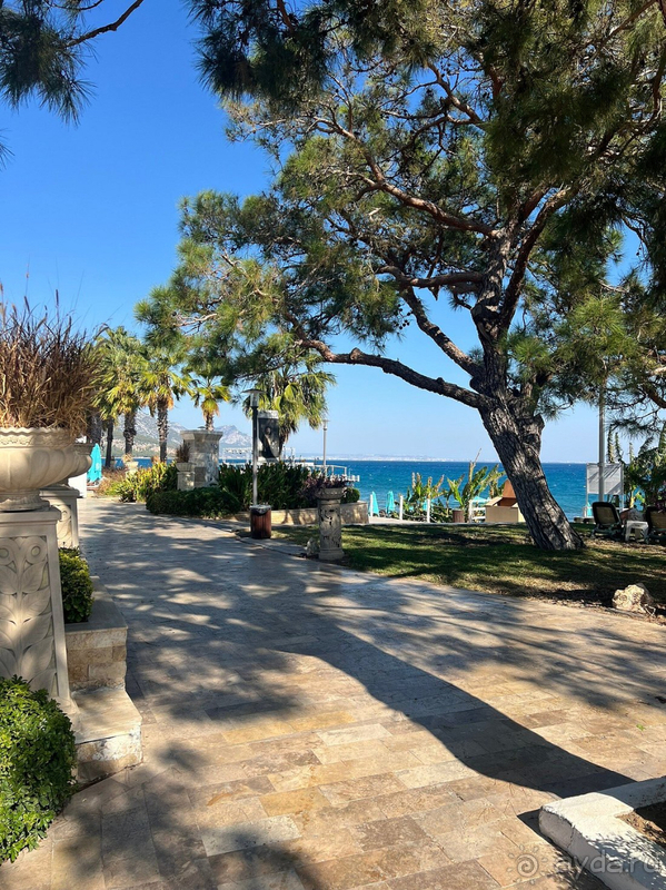 Погружение в Нирвану в октябре