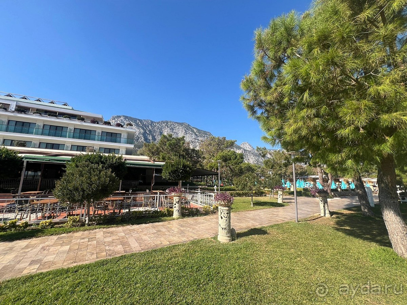 Погружение в Нирвану в октябре