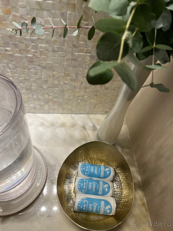 Настоятельно рекомендую