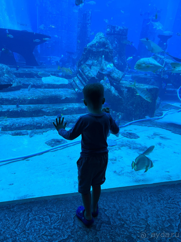 Настоятельно рекомендую