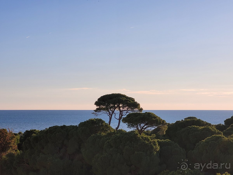 Альбом отзыва "Лучший отель"