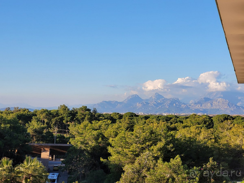 Лучший отель