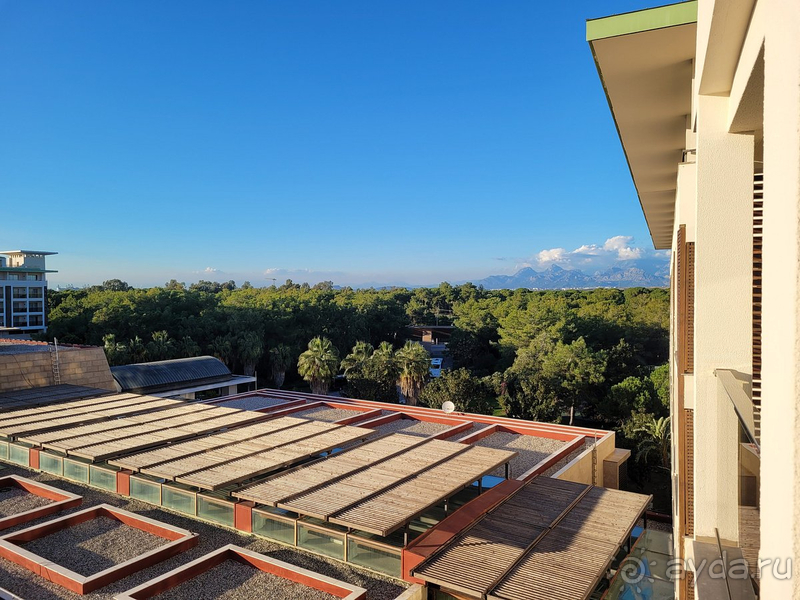 Лучший отель