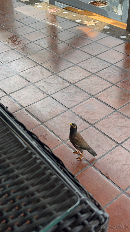 Для молодых супер отель!!!