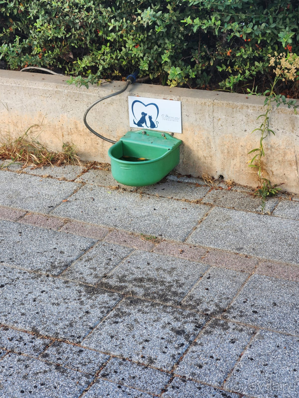 Марин-А - милый отель в пригороде Бодрума