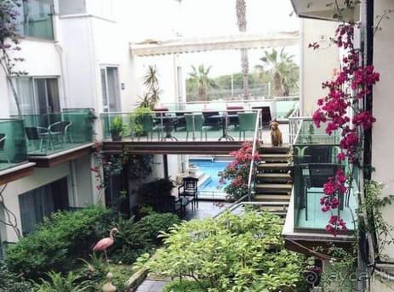 Марин-А - милый отель в пригороде Бодрума