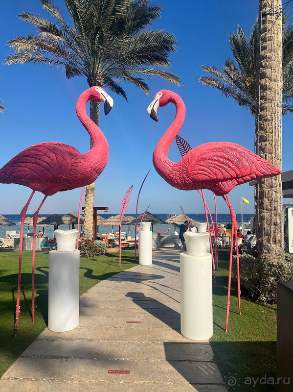 Лучший отдых ❤️