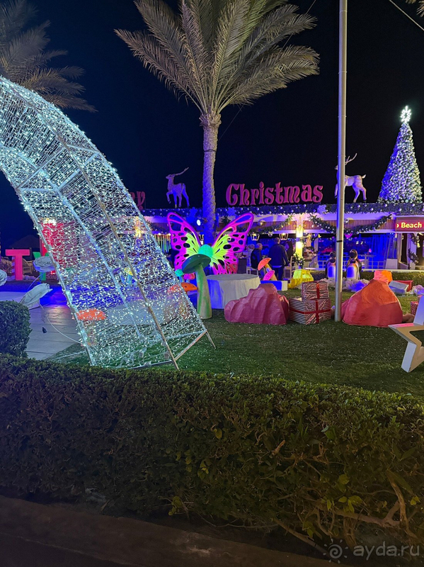 Релакс, немного тусовки, топовые а-ля карт