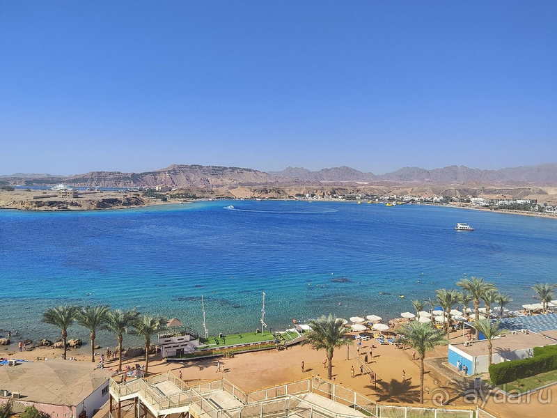 Уютная четверка